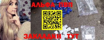 СК Кингисепп