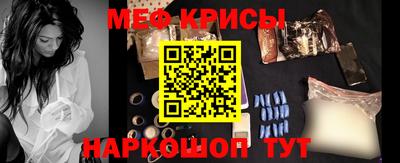 СК Кингисепп