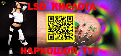СК Кингисепп