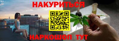 СК Кингисепп