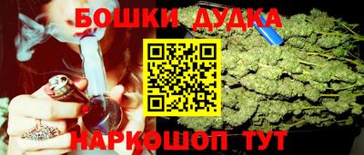 СК Кингисепп