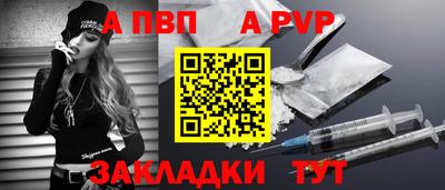 СК Кингисепп